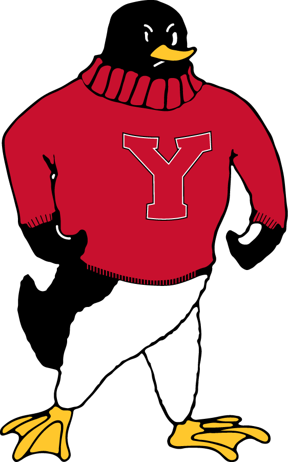 Youngstown State Penguins 1969-1979 Primary Logo diy DTF decal sticker